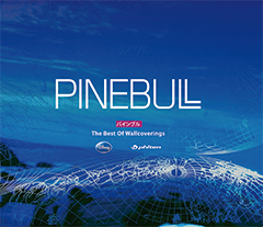 10年代PINEBULL画像01