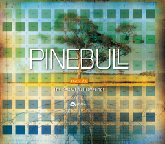 10年代PINEBULL画像02