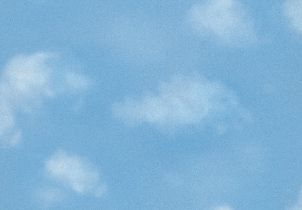 商品詳細 ｜ カタログ一覧 ｜ 壁紙のトキワ