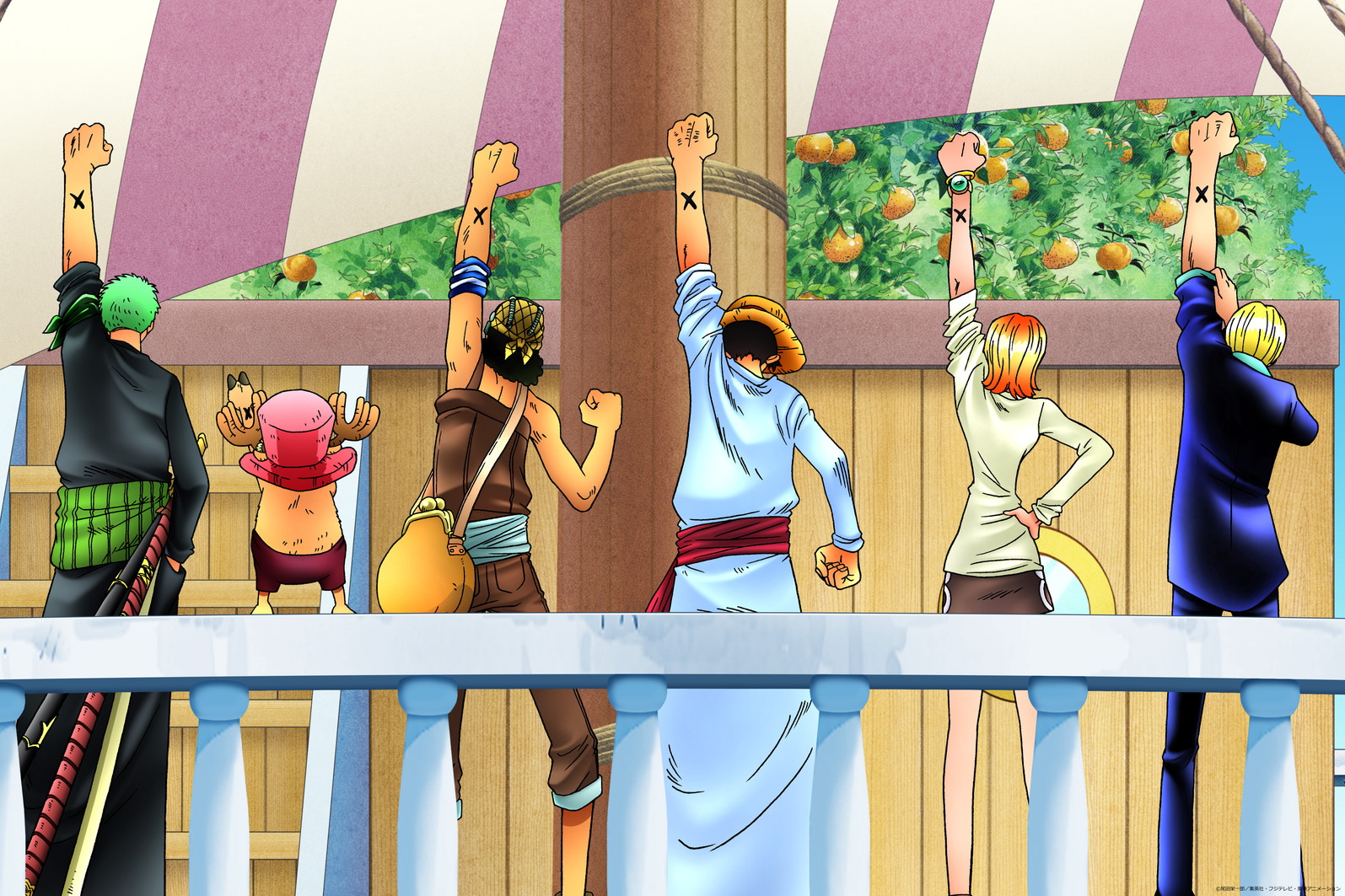 ワンピース デジウォールトップ 壁紙のトキワ